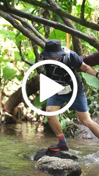 BIB:  <button type="button" onclick="openModal(27809111)" class="btn btn-primary btn-sm float-right" data-toggle="modal" data-target=".modal-high-quality">
                <i class="fa fa-download"></i> Download
                </button>